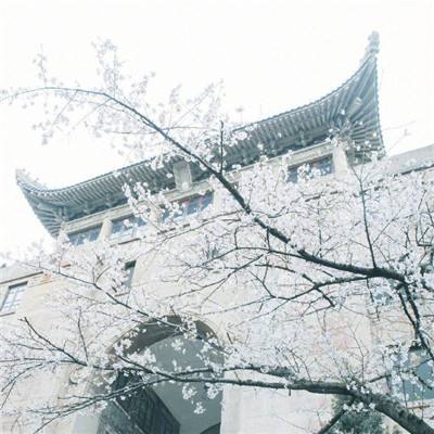 1月13日河北81例新冠病例轨迹公布 涉及陕西内蒙古